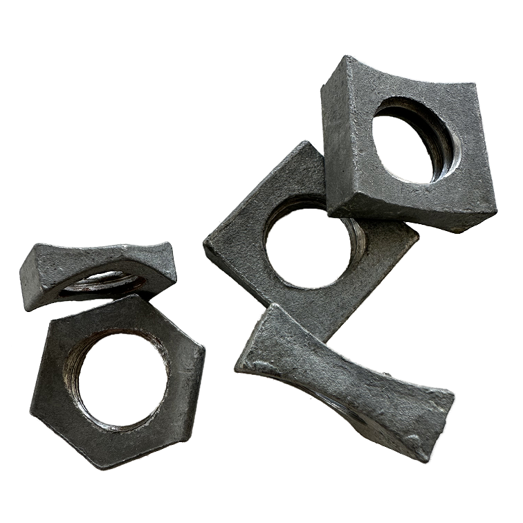 BOCONCAVE NUTS